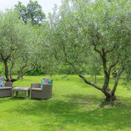 Mariza-3 By Interhome Appartement Vinež